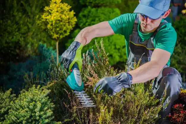 landscaping services Omaha